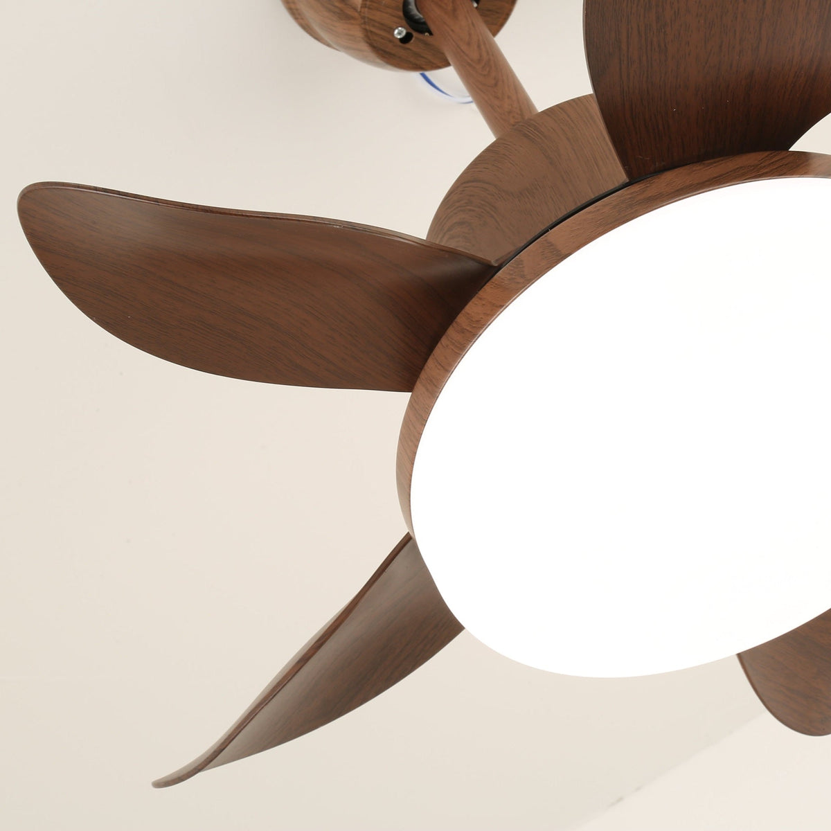 Alenya ventilador de techo con luz de madera