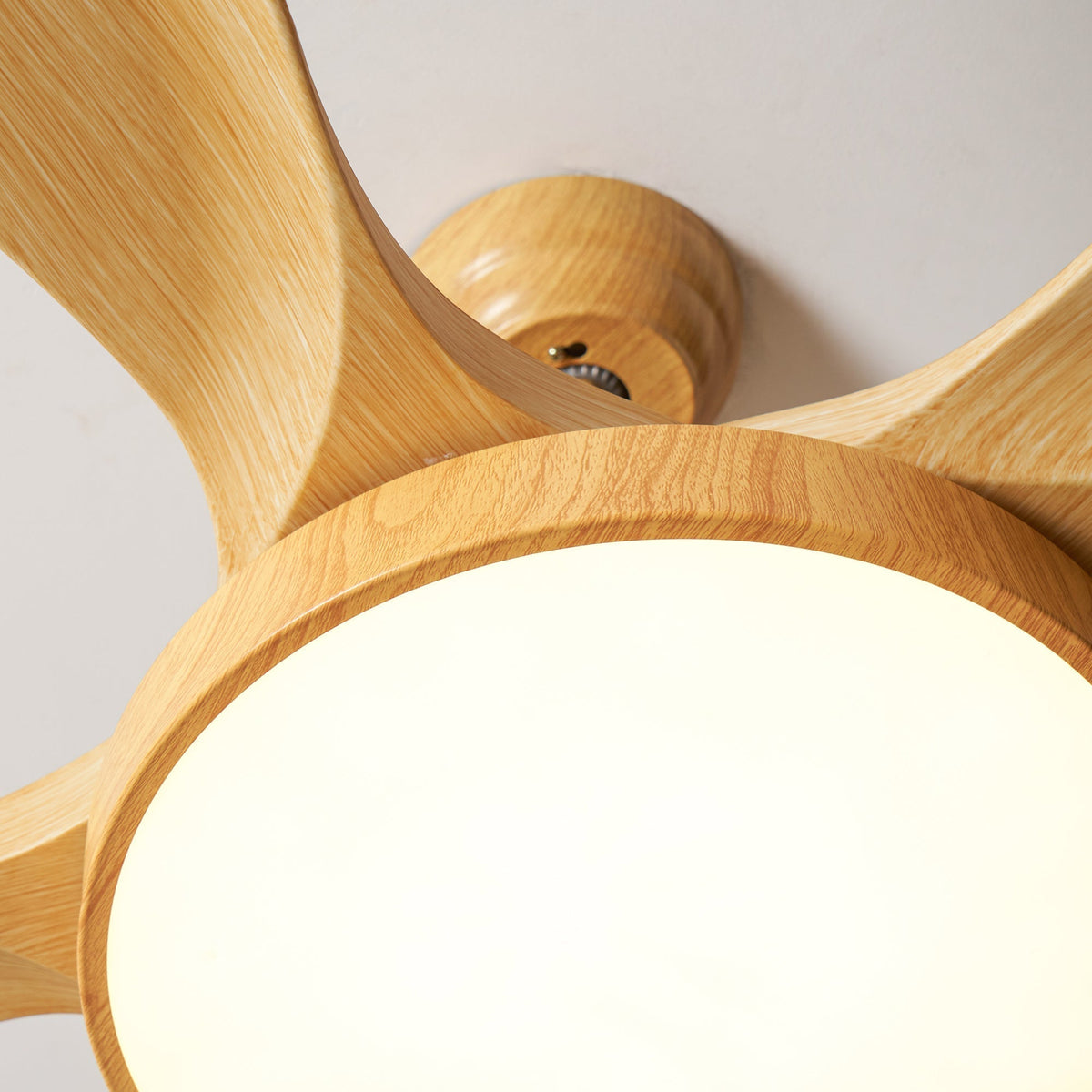 Teriinena ventilador de techo con luz