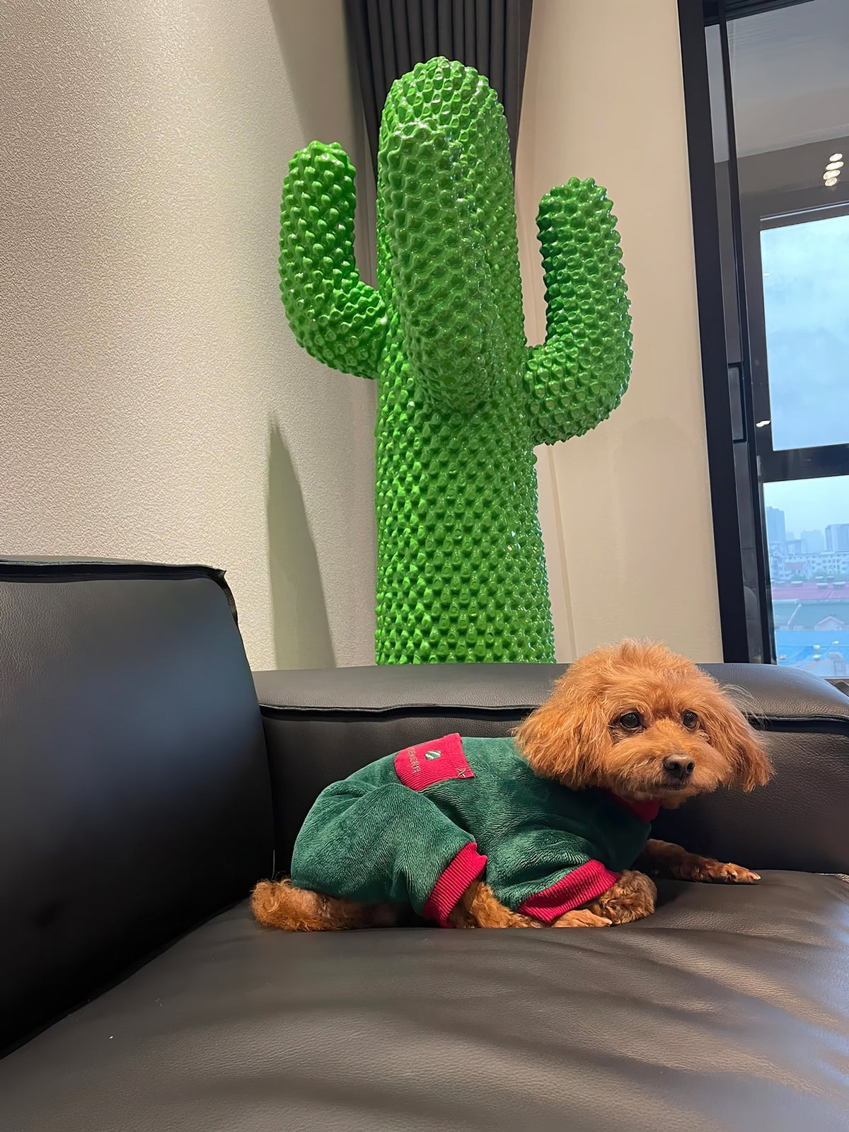 Mello Escultura de Cactus Colgante