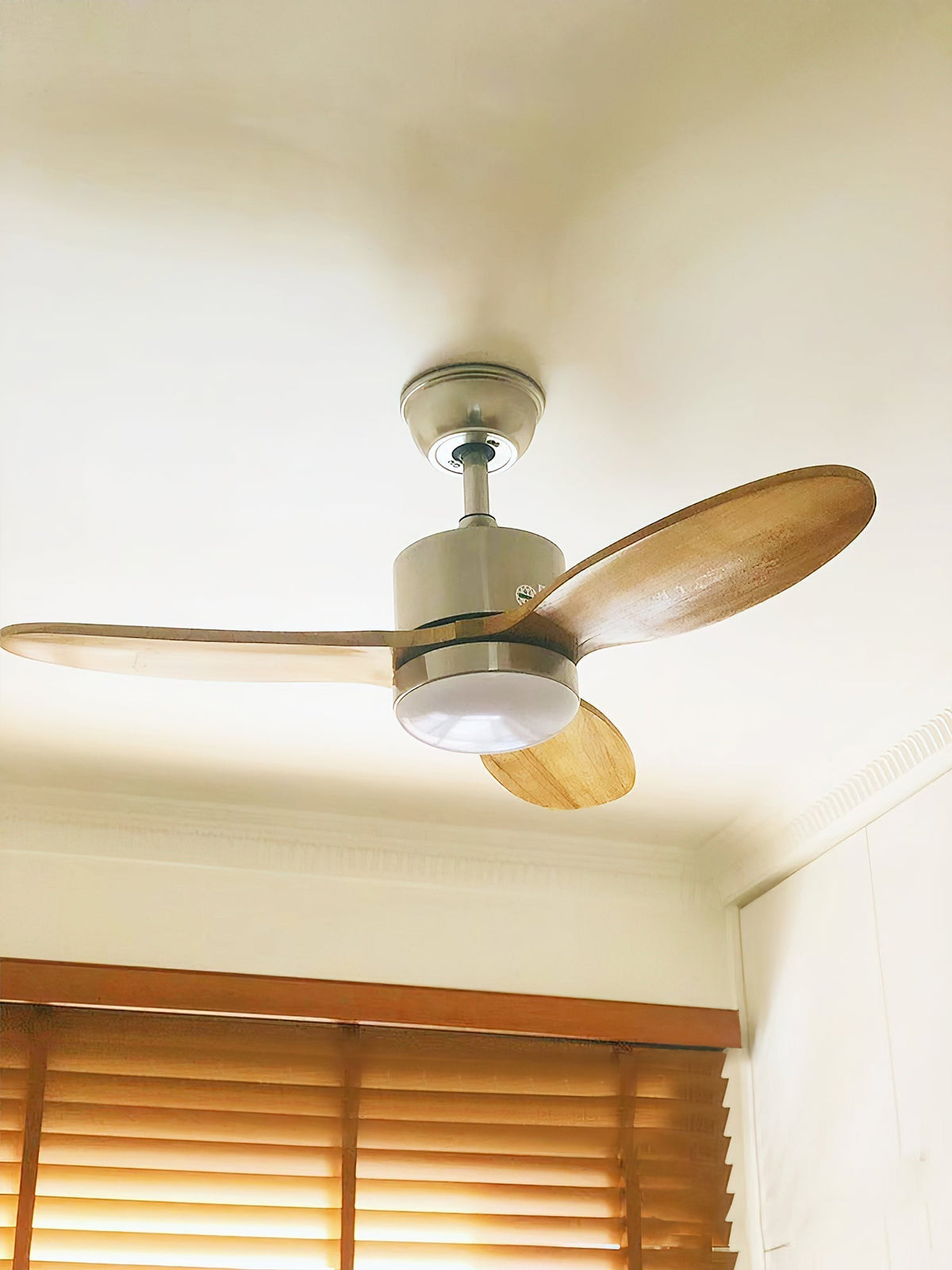 Rivaraine ventilador de techo con luz