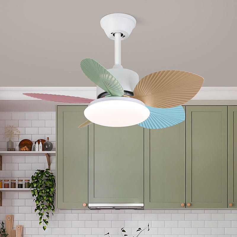 Celoia ventilador de techo con luz de vidrio colorido