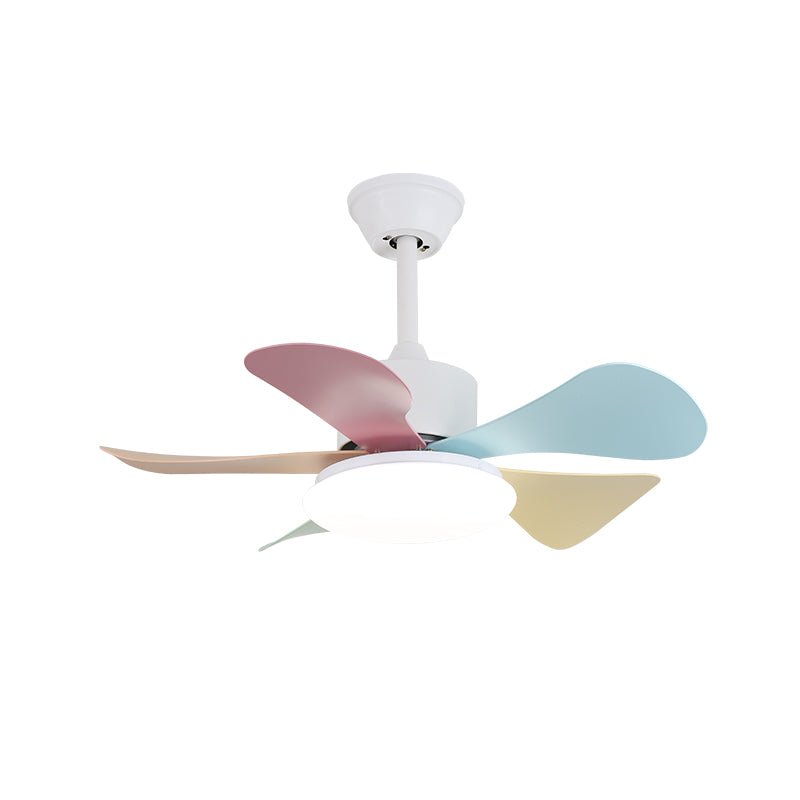 Celoia ventilador de techo con luz de vidrio colorido