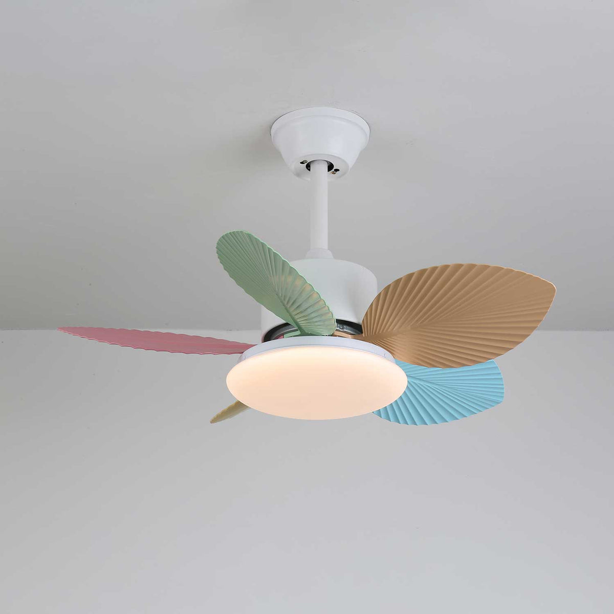 Celoia ventilador de techo con luz de vidrio colorido