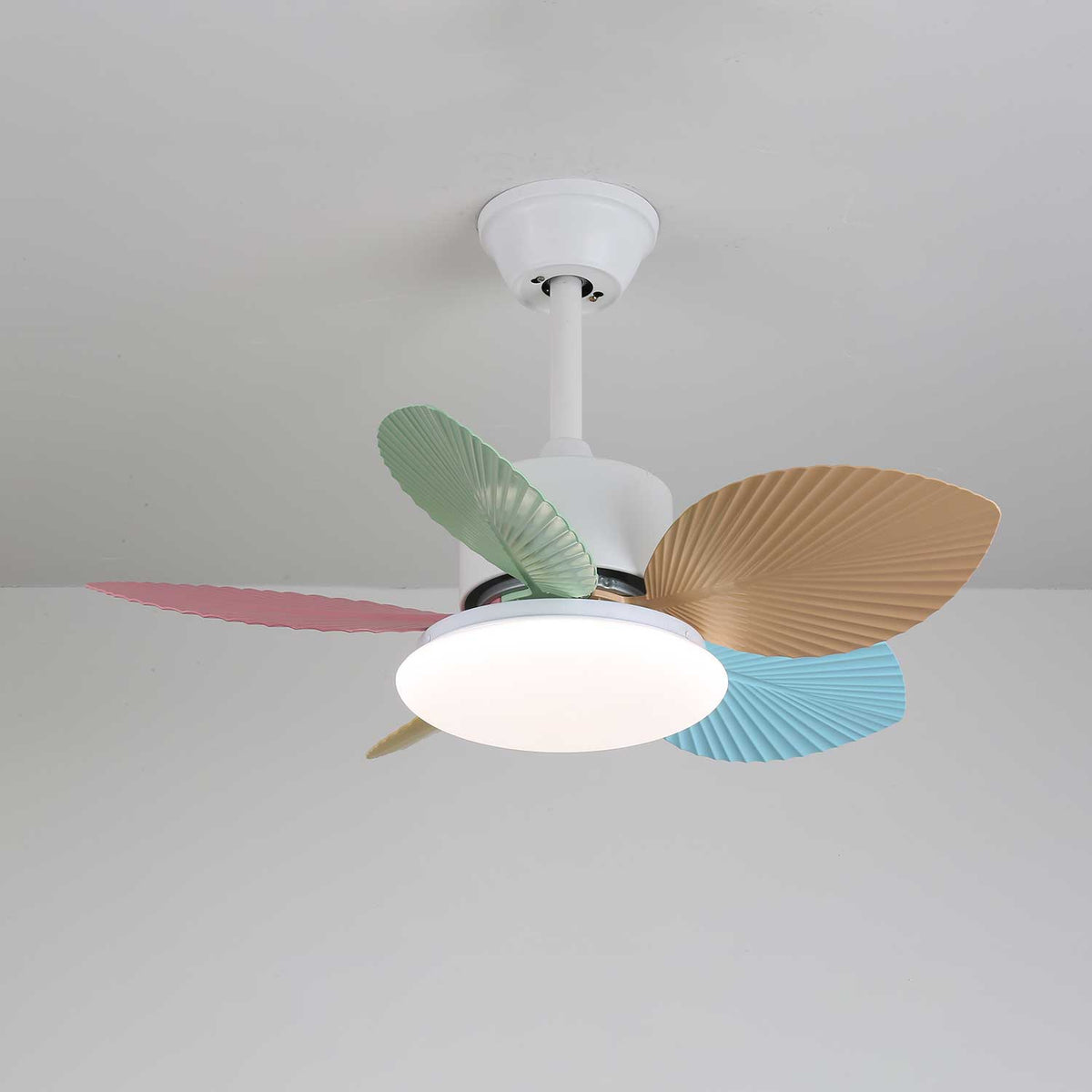 Celoia ventilador de techo con luz de vidrio colorido
