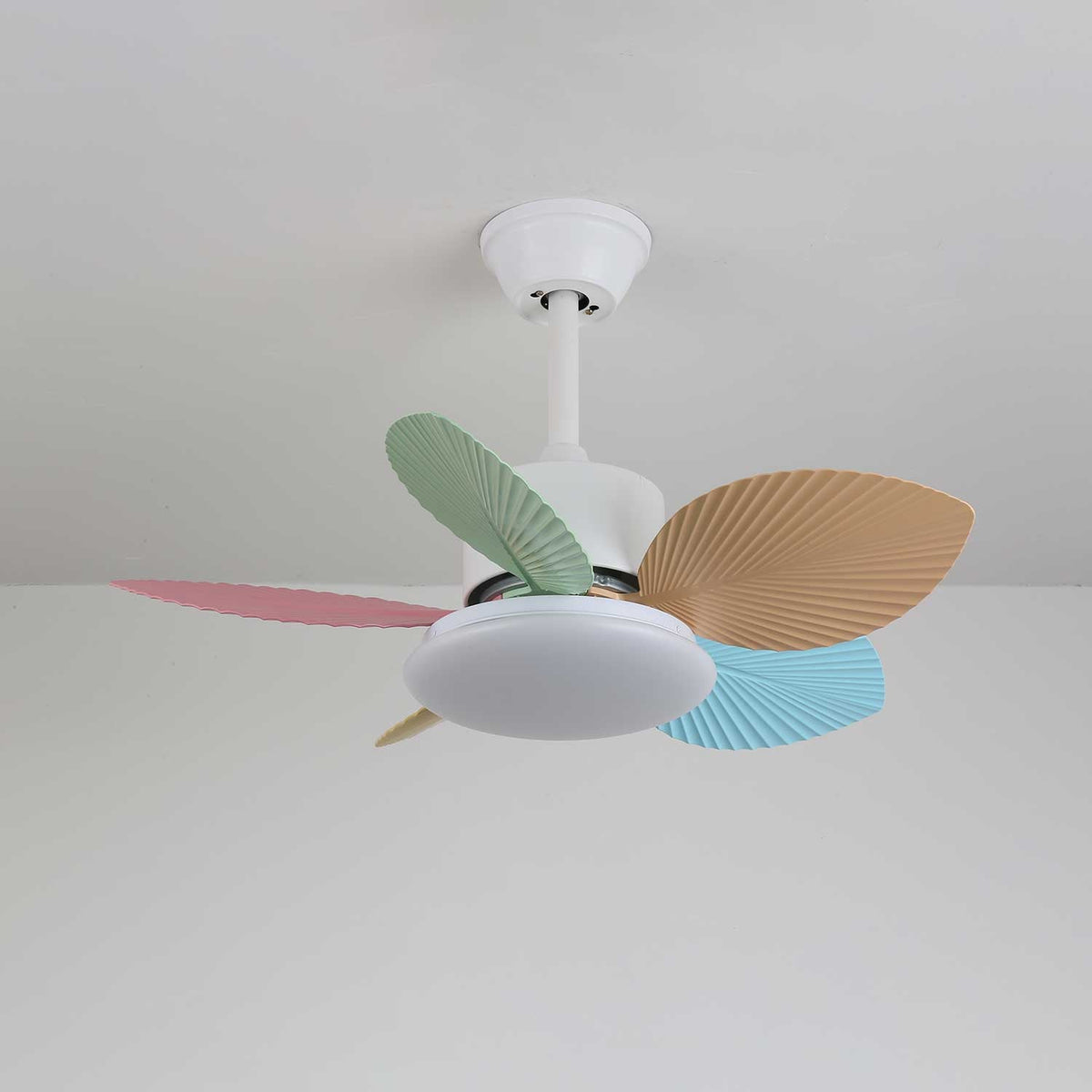 Celoia ventilador de techo con luz de vidrio colorido