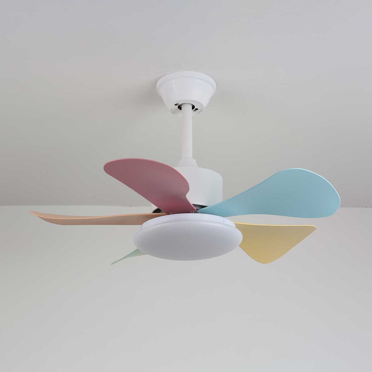 Celoia ventilador de techo con luz de vidrio colorido
