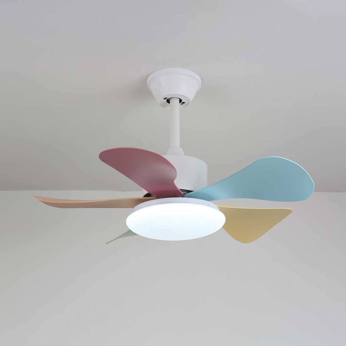 Celoia ventilador de techo con luz de vidrio colorido