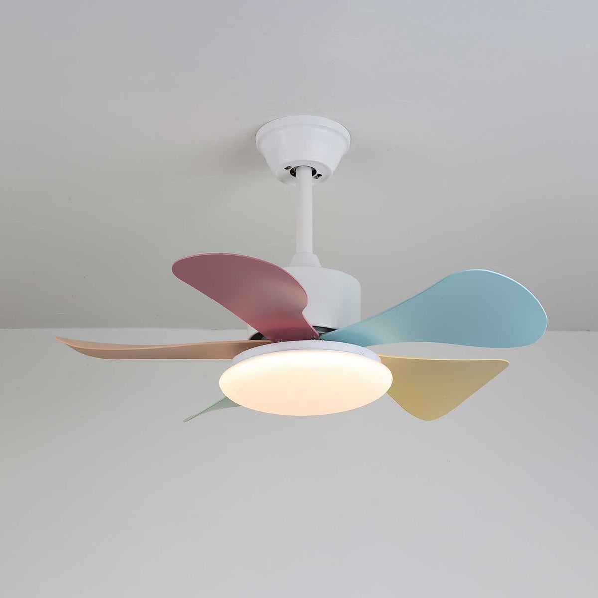 Celoia ventilador de techo con luz de vidrio colorido