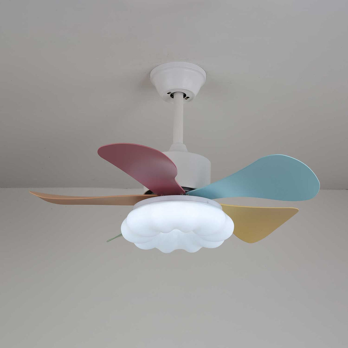 Celoia ventilador de techo con luz de vidrio colorido