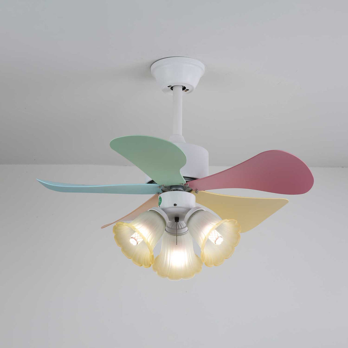 Celoia ventilador de techo con luz de vidrio colorido