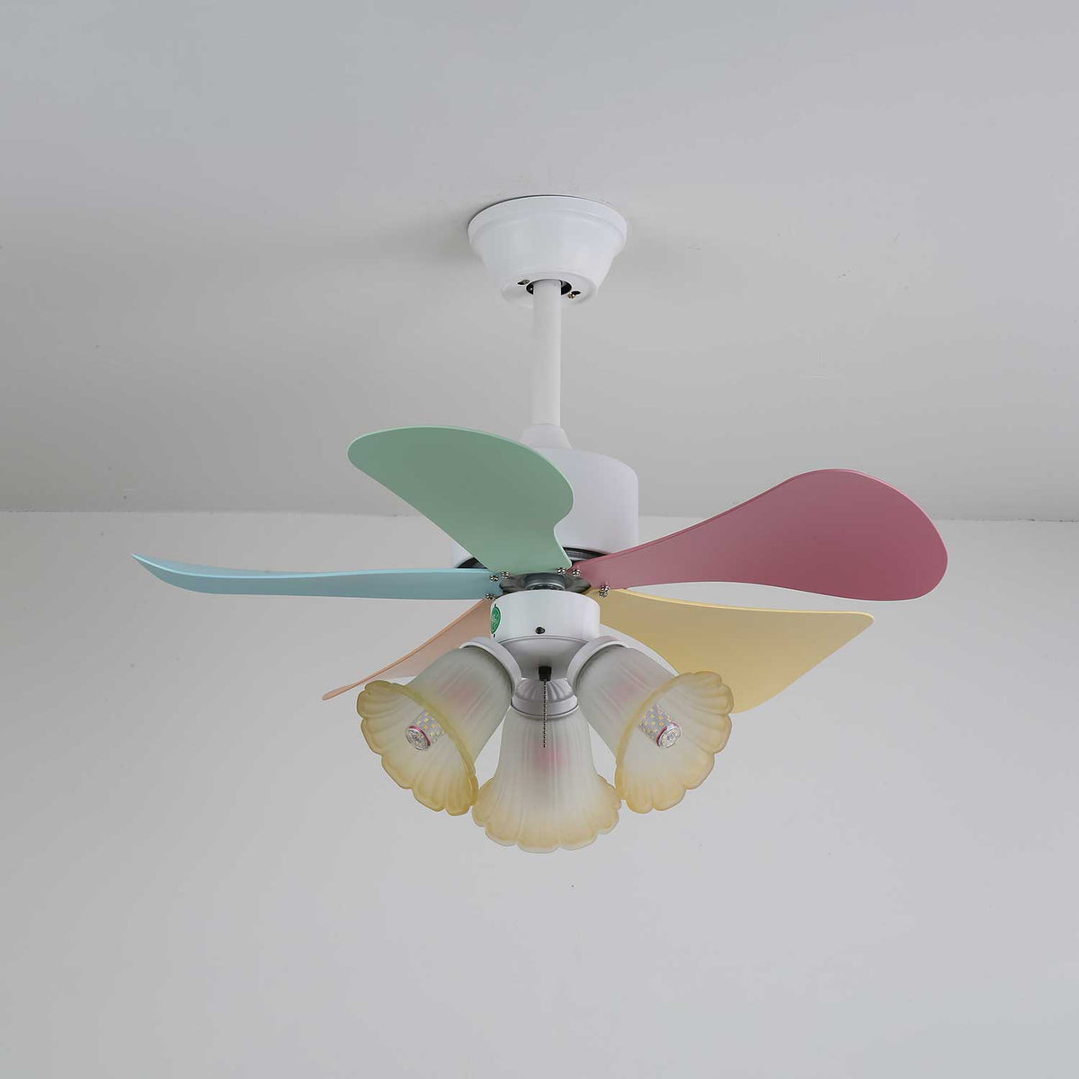 Celoia ventilador de techo con luz de vidrio colorido