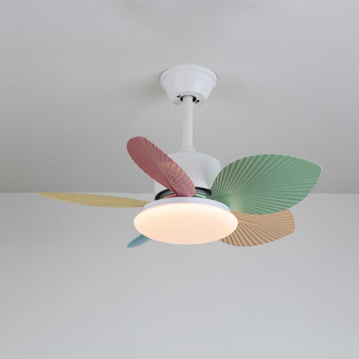 Celoia ventilador de techo con luz de vidrio colorido