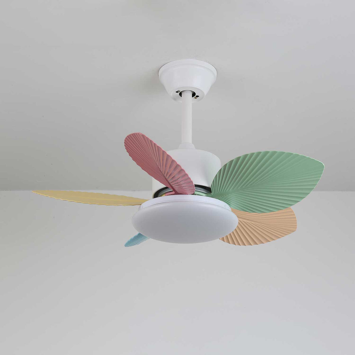 Celoia ventilador de techo con luz de vidrio colorido