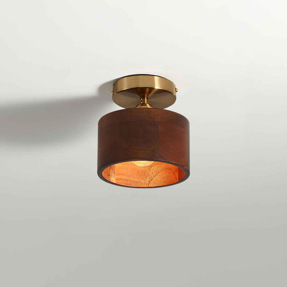 Renerora plafón