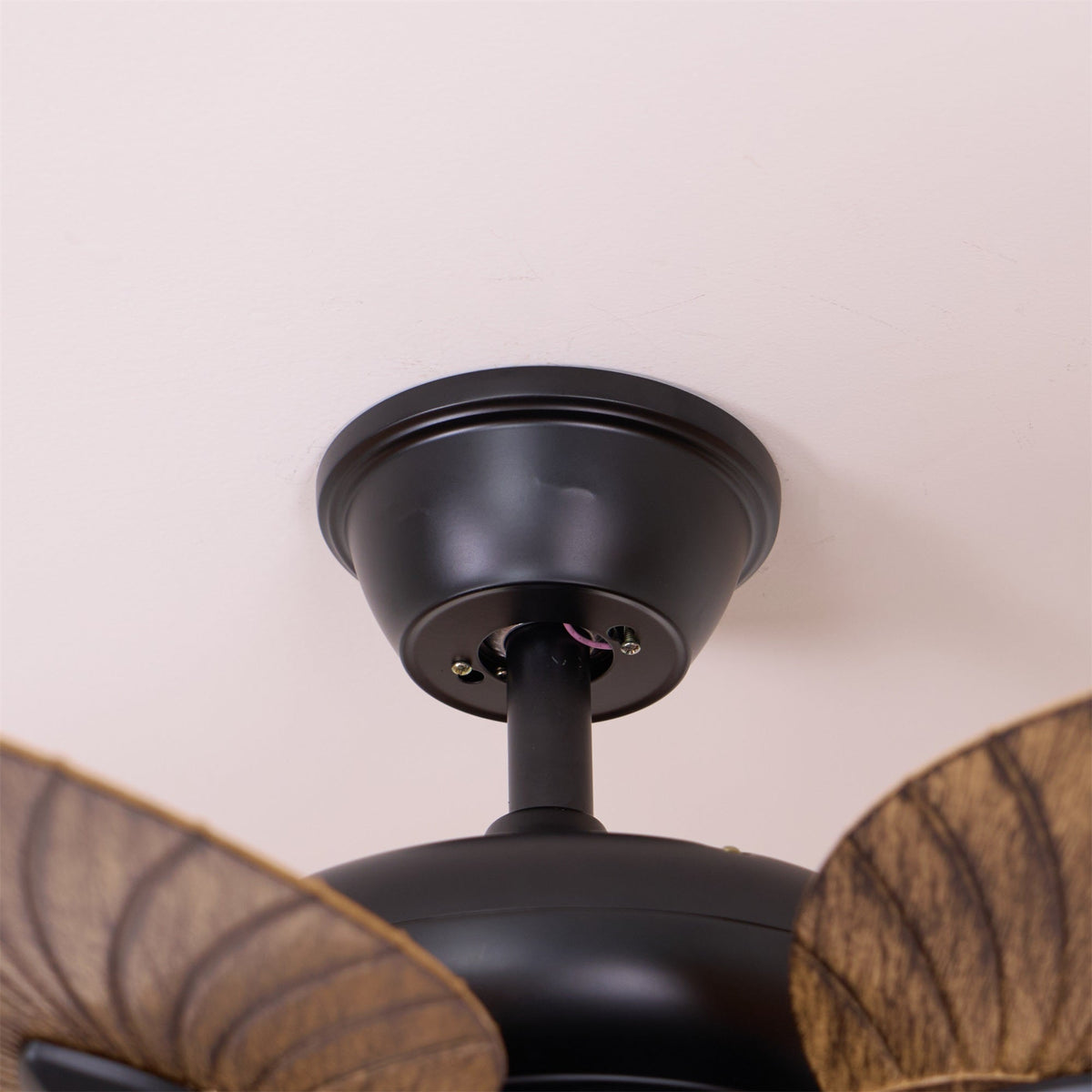 Viraalel ventilador de techo con luz