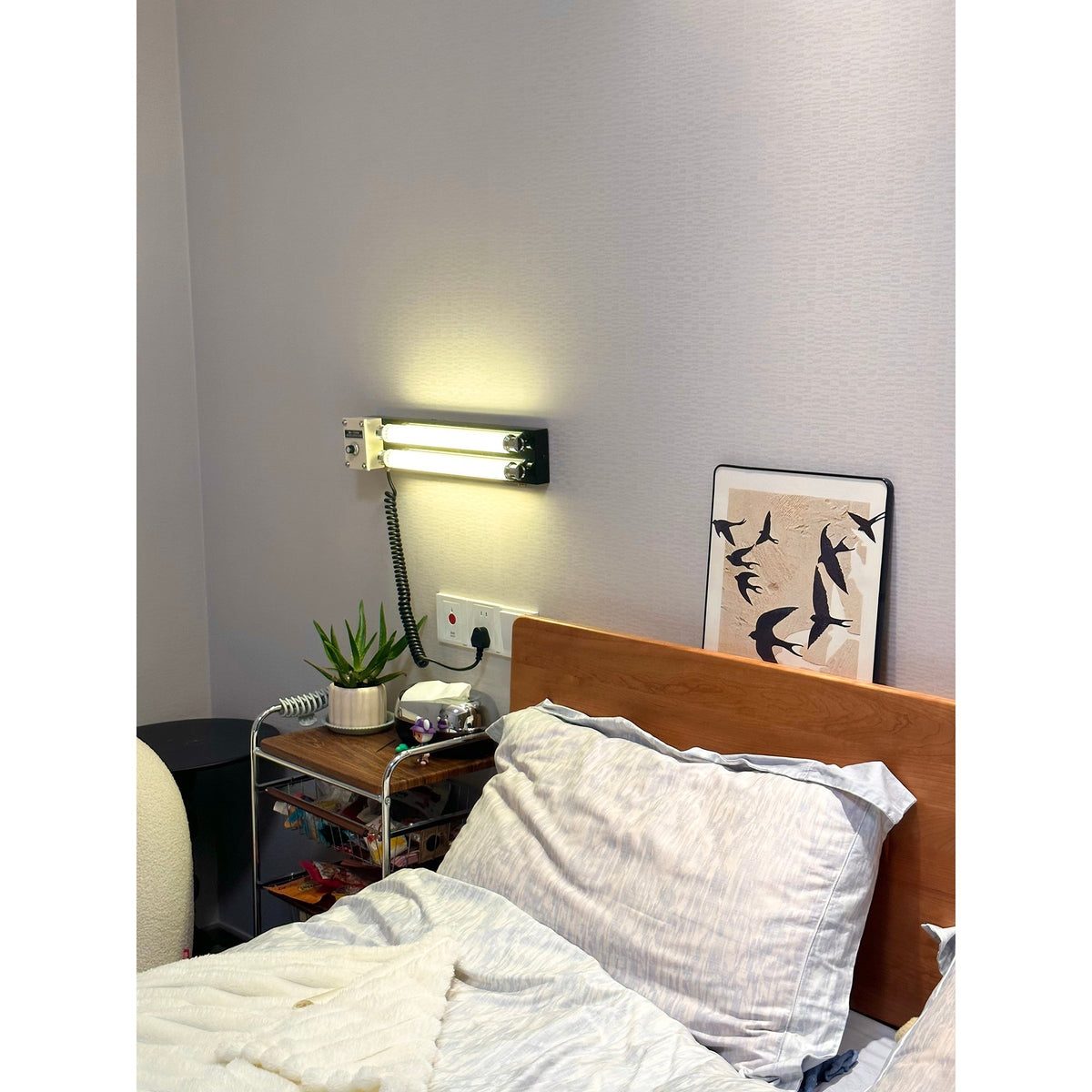 Cutshall aplique de pared con enchufe enchufable