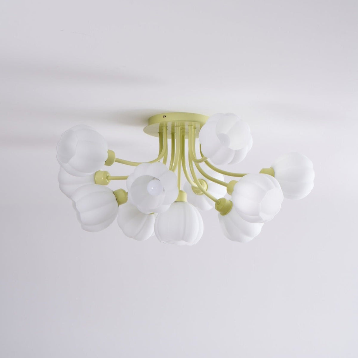 Zenorarae elegancia lámpara de techo de vidrio Matcha