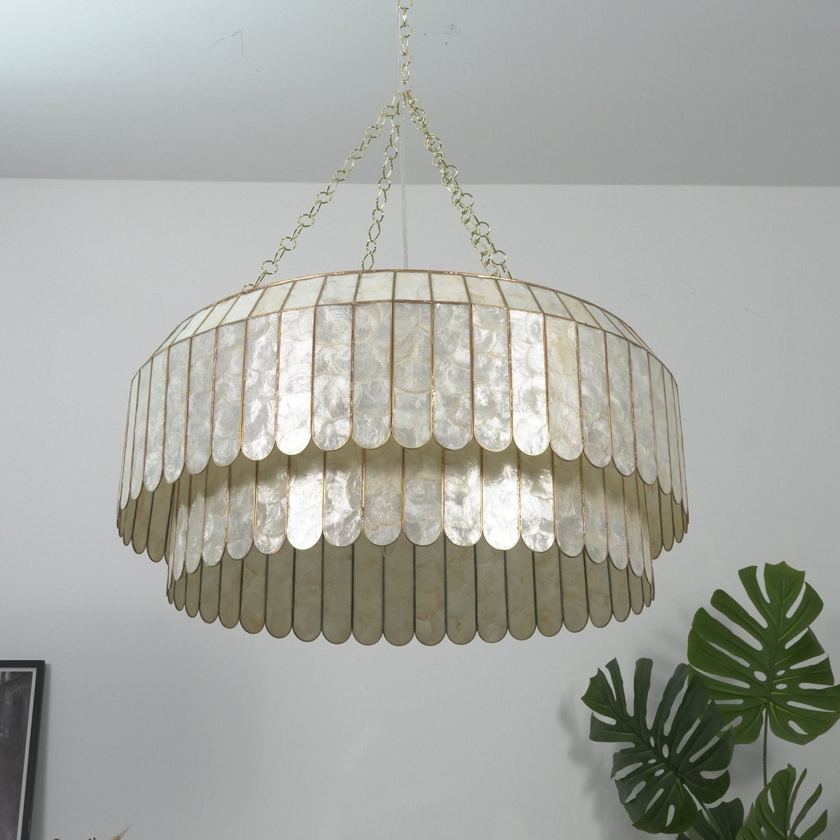Holz dorado Shell Metal Aurelia lámpara de araña