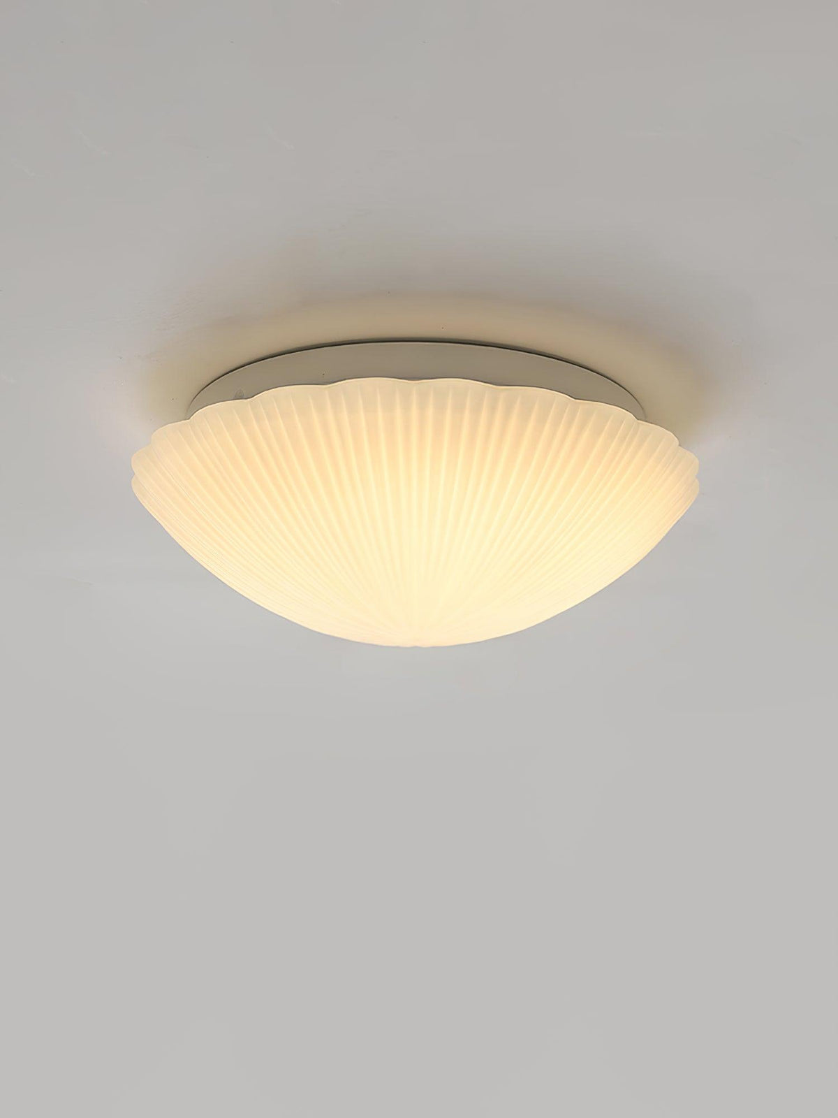 Elo lámpara de techo forma de concha ribeteada suave elegante