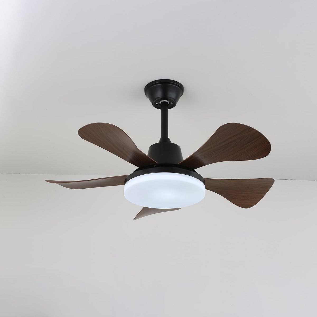 Aveline ventilador de techo con luz de madera