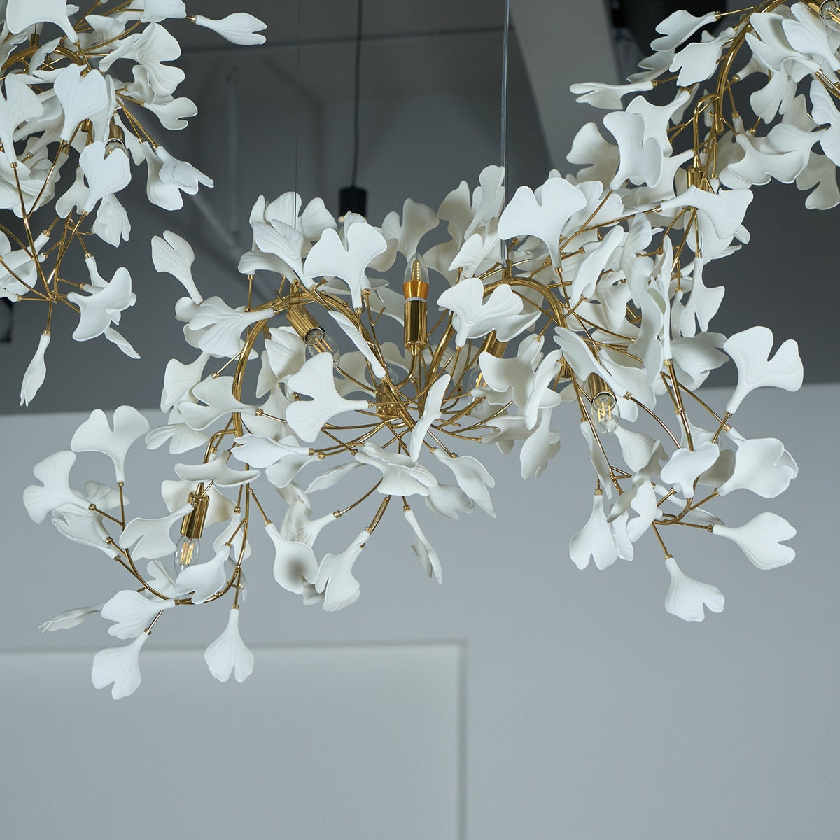 Ginkgo lámpara de araña Cluster