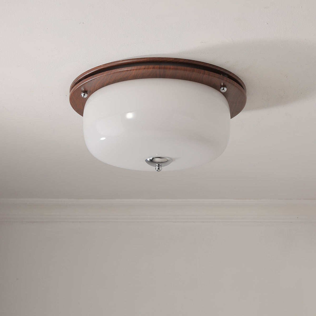 Vetheel lámpara de techo con cúpula de vidrio esmerilado nórdico premium