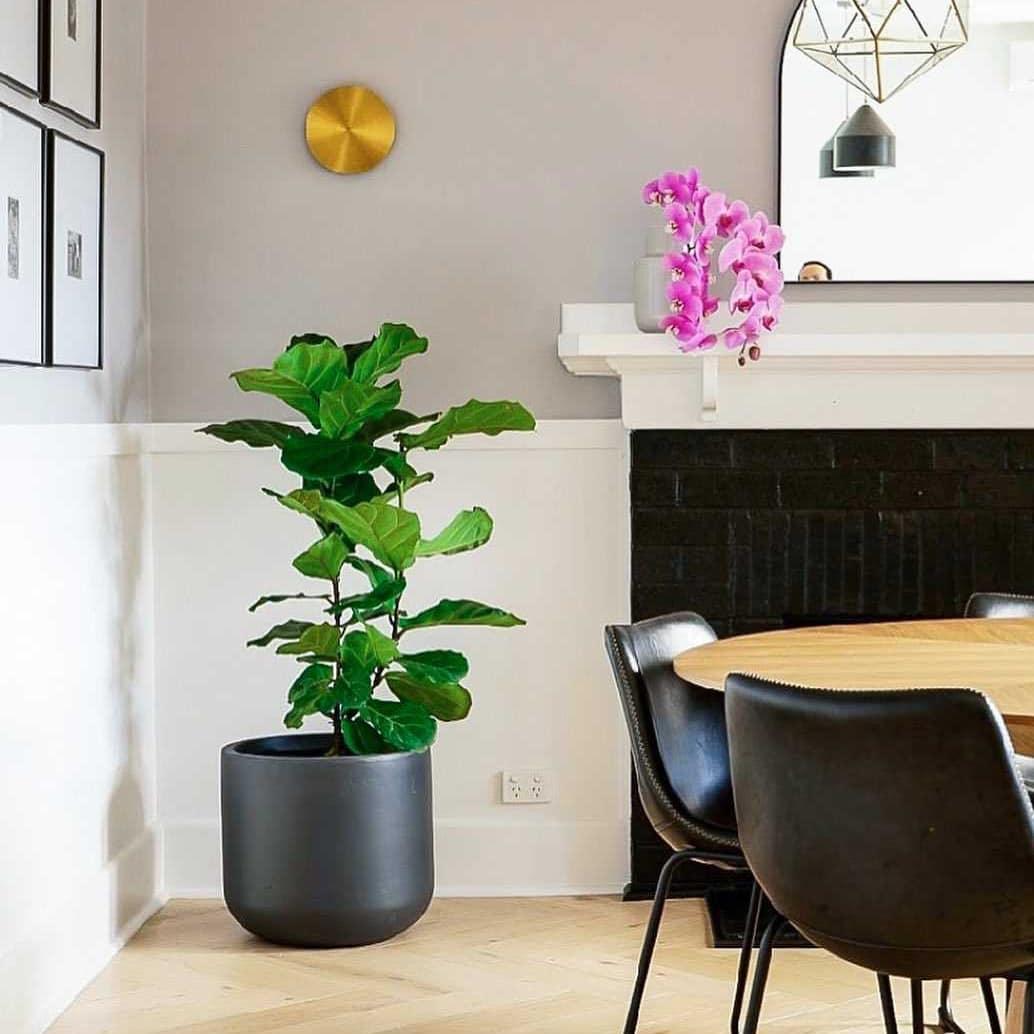 Phelan aplique de pared de latón minimalista