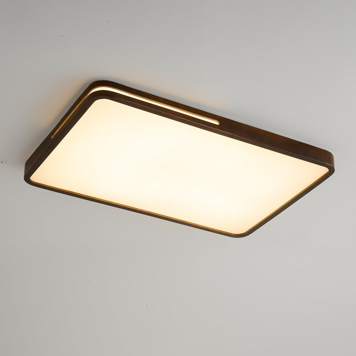 Vizoros lámpara de techo moderna minimalista