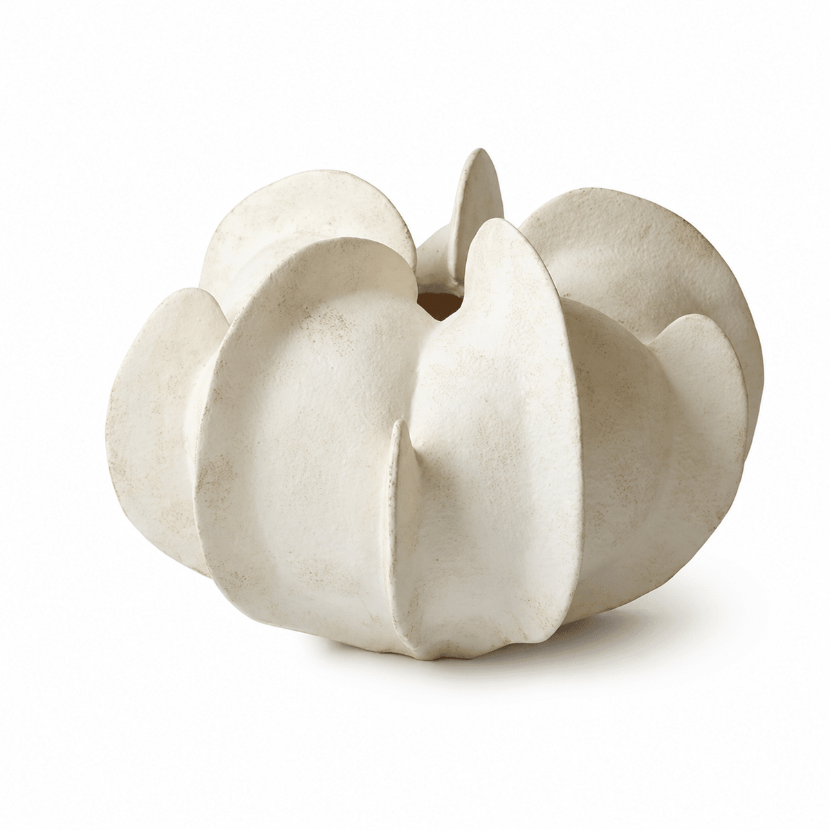 Magnolia Maceta escultórica de cerámica floración