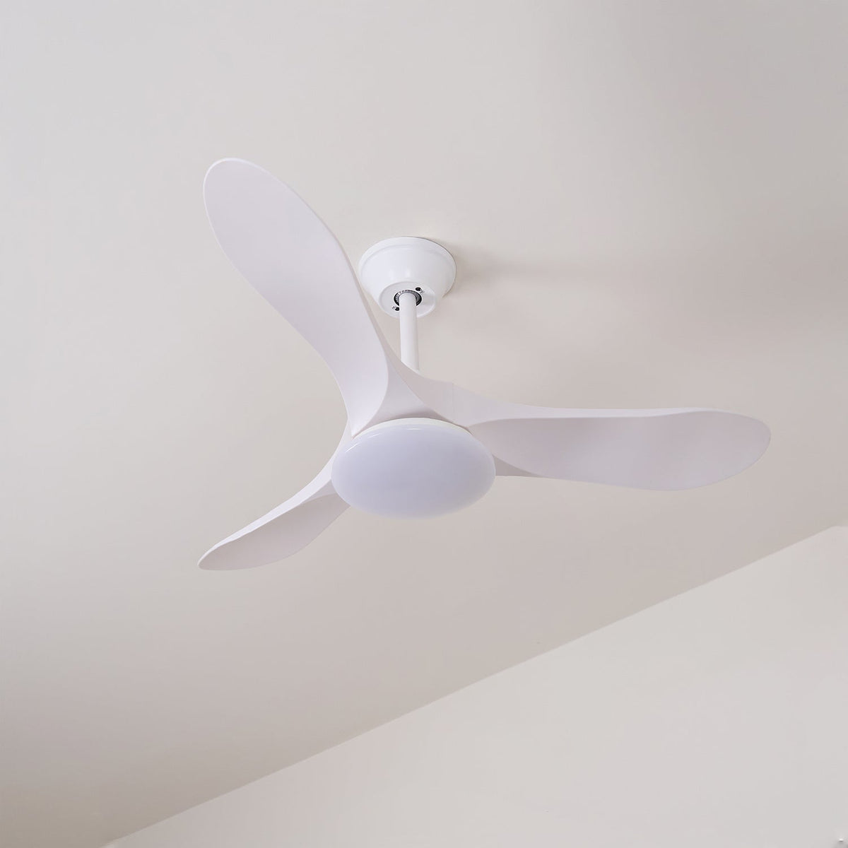 Oriken ventilador de techo con luz minimalista