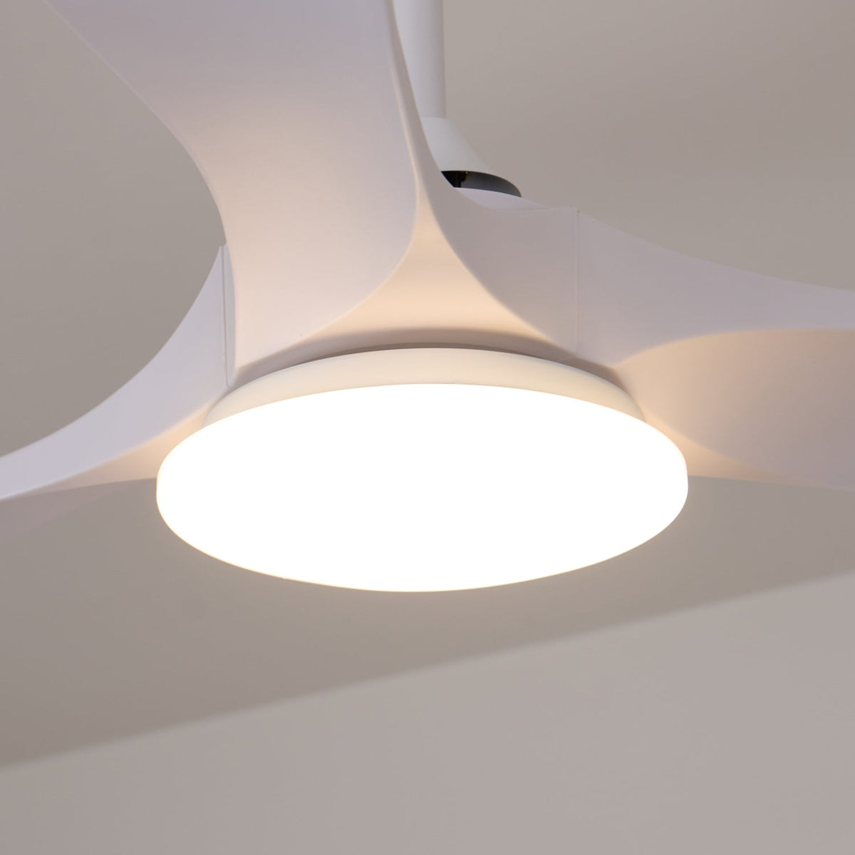 Miriveon ventilador de techo con luz Drift