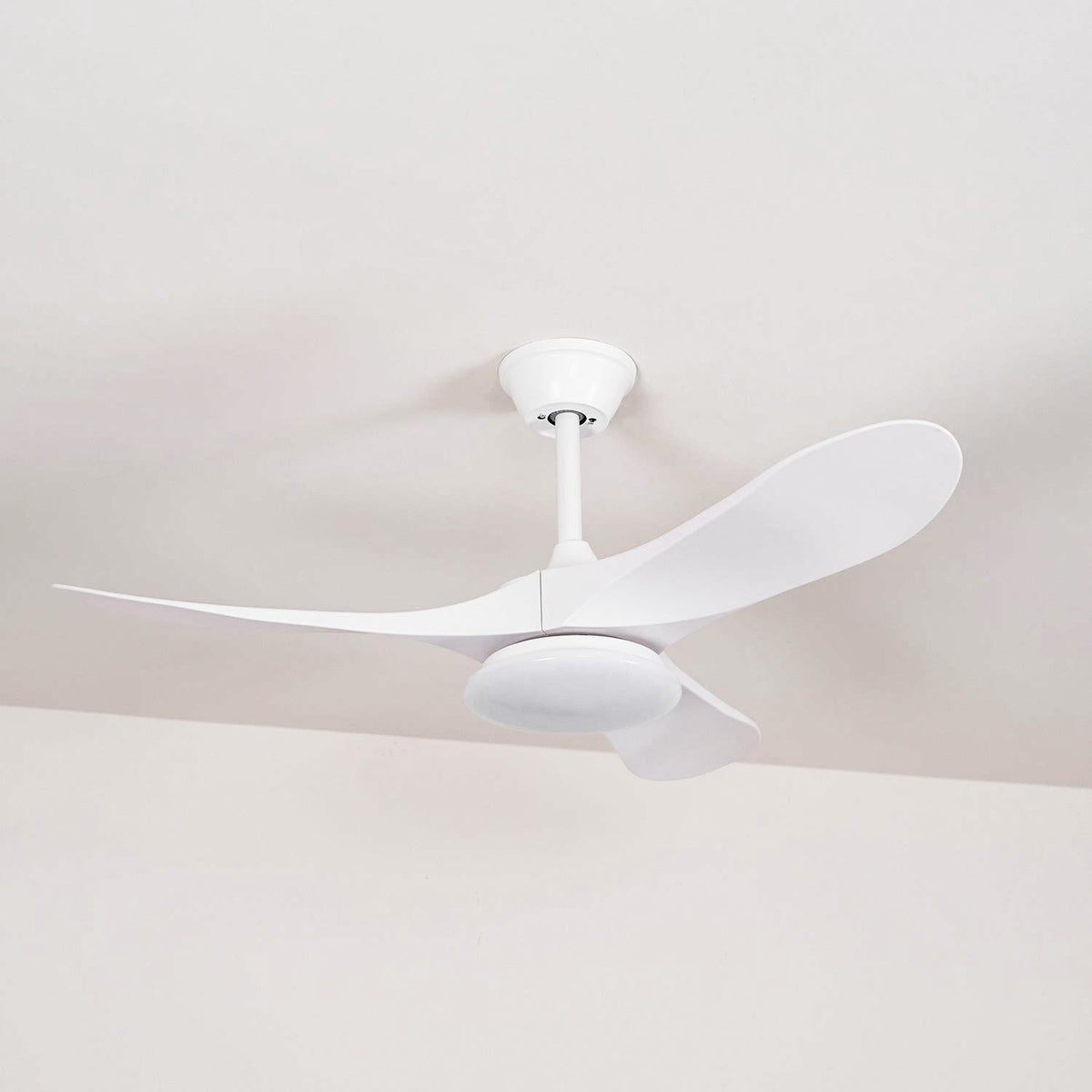Liorueria ventilador de techo con luz