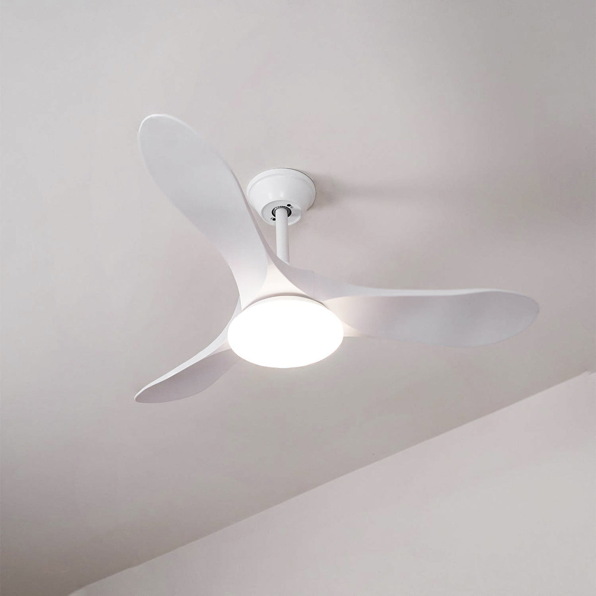 Liorueria ventilador de techo con luz
