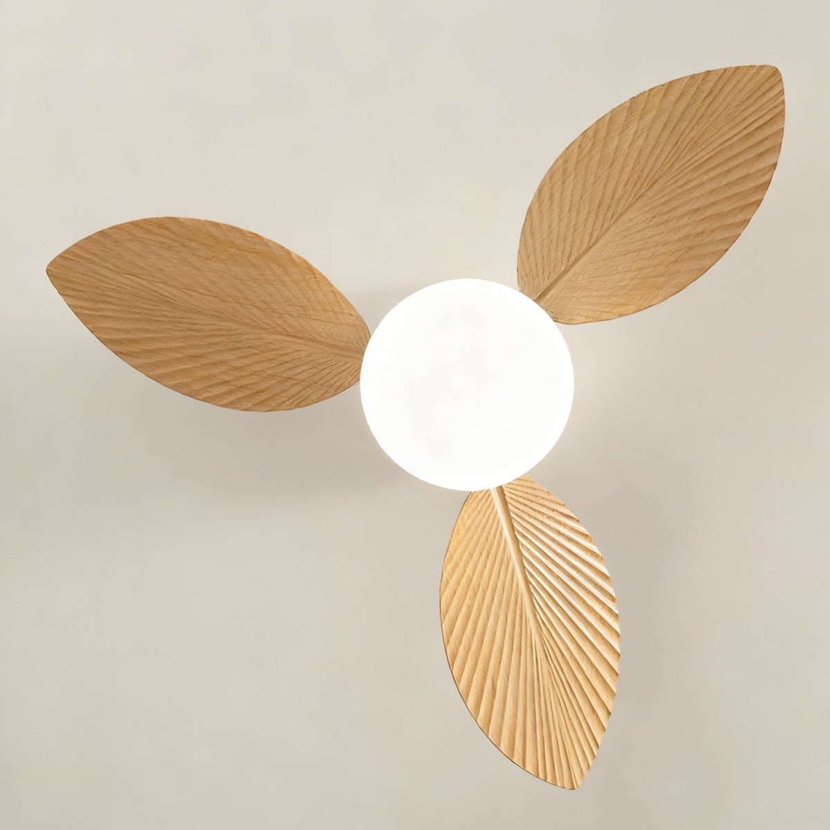 Calirella ventilador de techo con luz