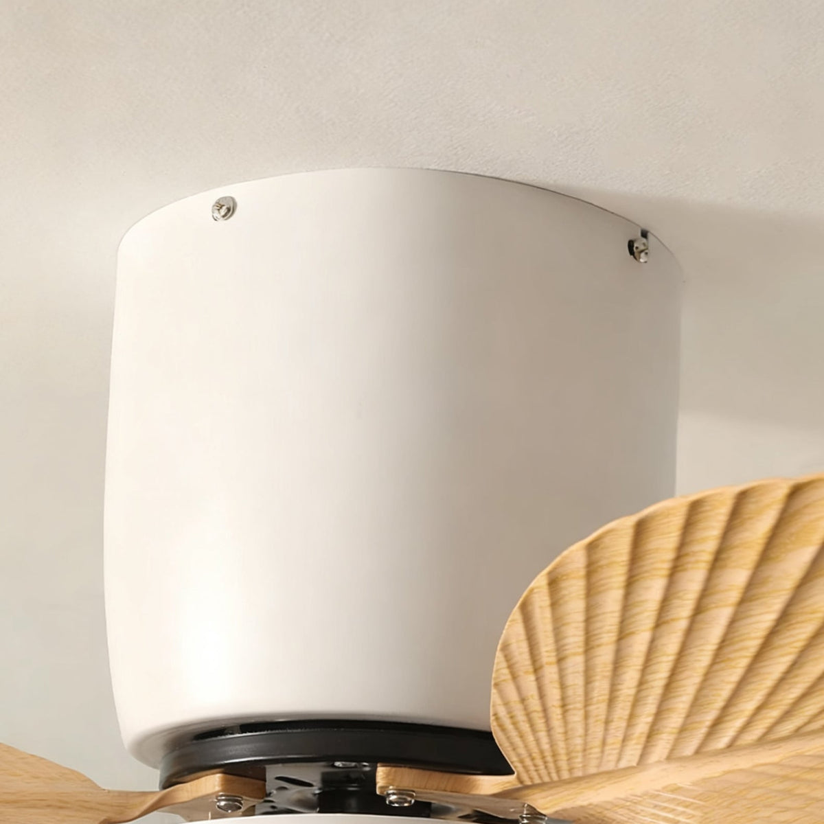 Calirella ventilador de techo con luz