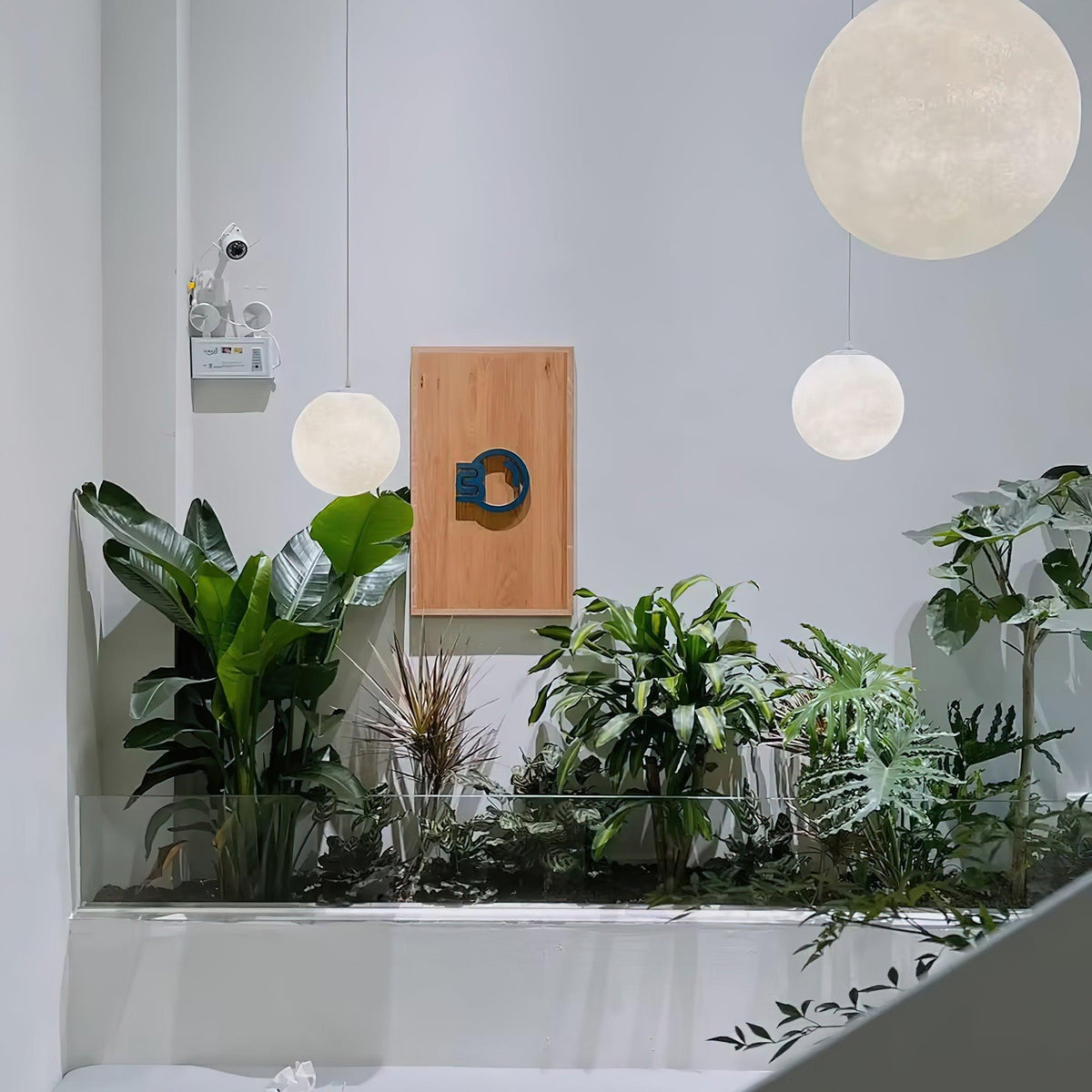 Miralaine lámpara colgante en forma de luna para salón