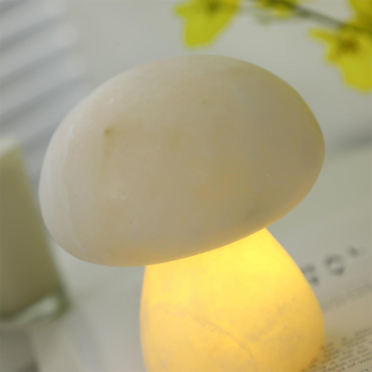 Fungi lámpara de mesa con batería integrada