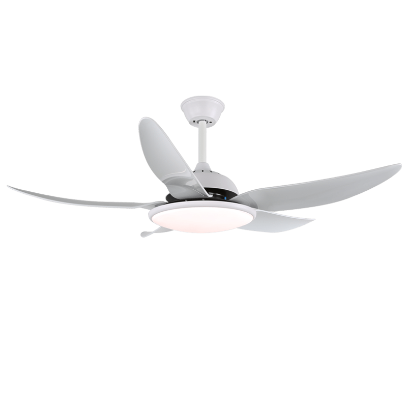 Aquila ventilador de techo con luz moderno