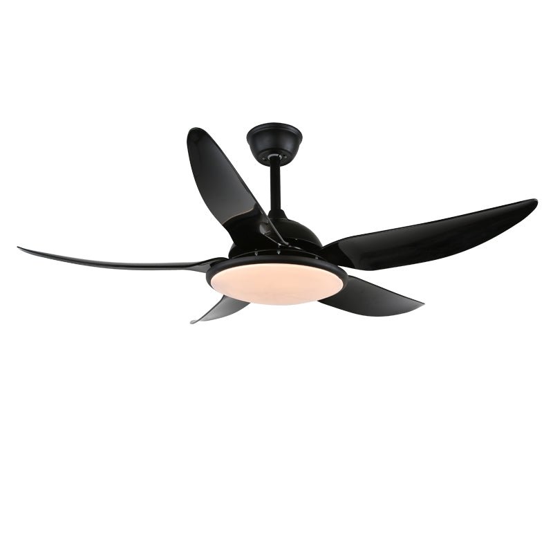 Aquila ventilador de techo con luz moderno