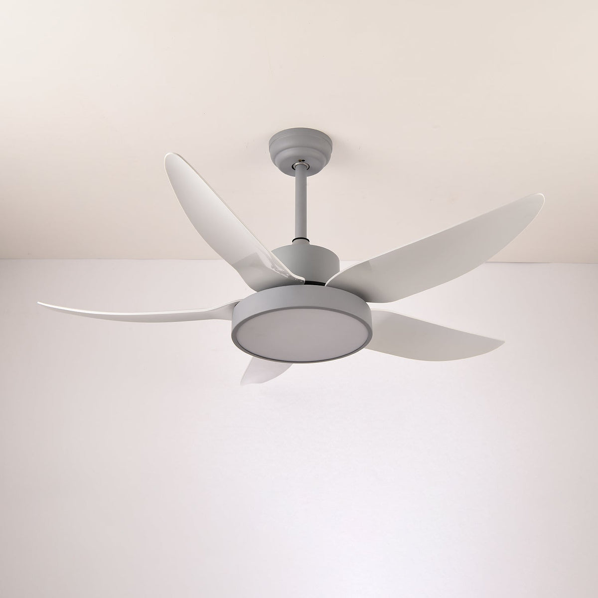 Selalise ventilador de techo con luz moderno