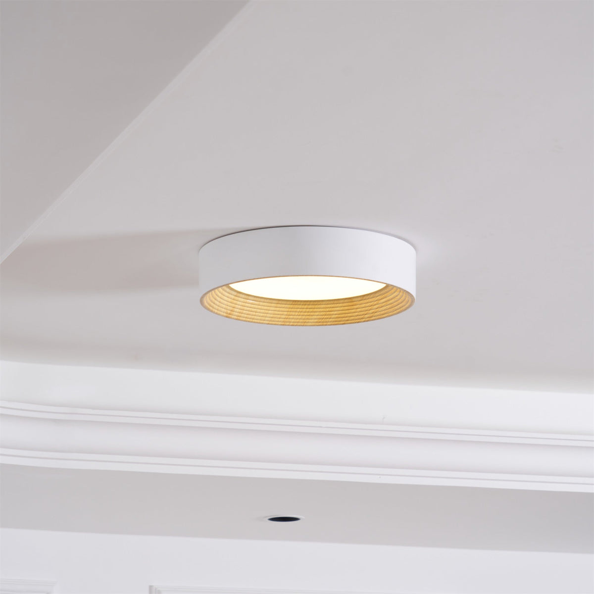 Elvirelle lámpara de techo anillo de madera minimalista regulable