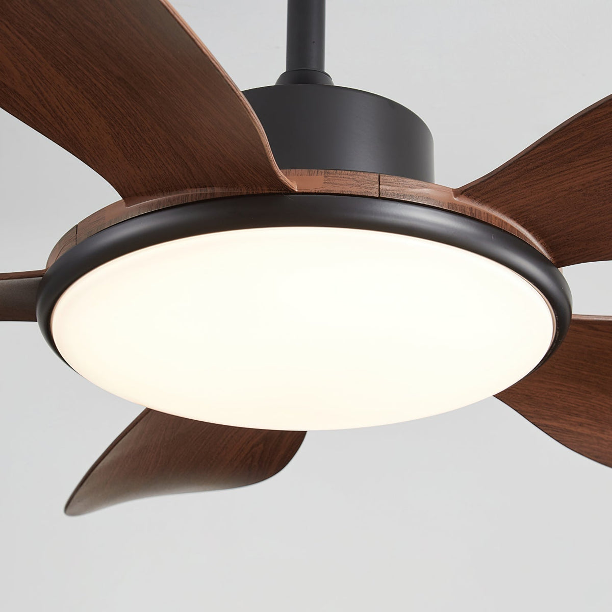 Rivivaine ventilador de techo con luz