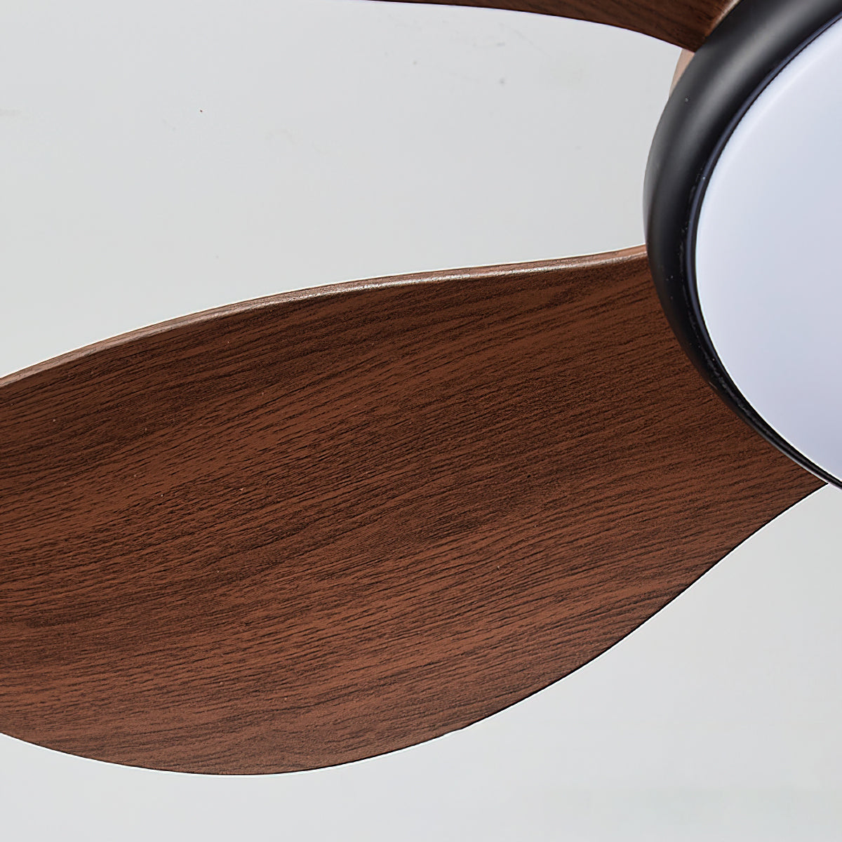 Rivivaine ventilador de techo con luz