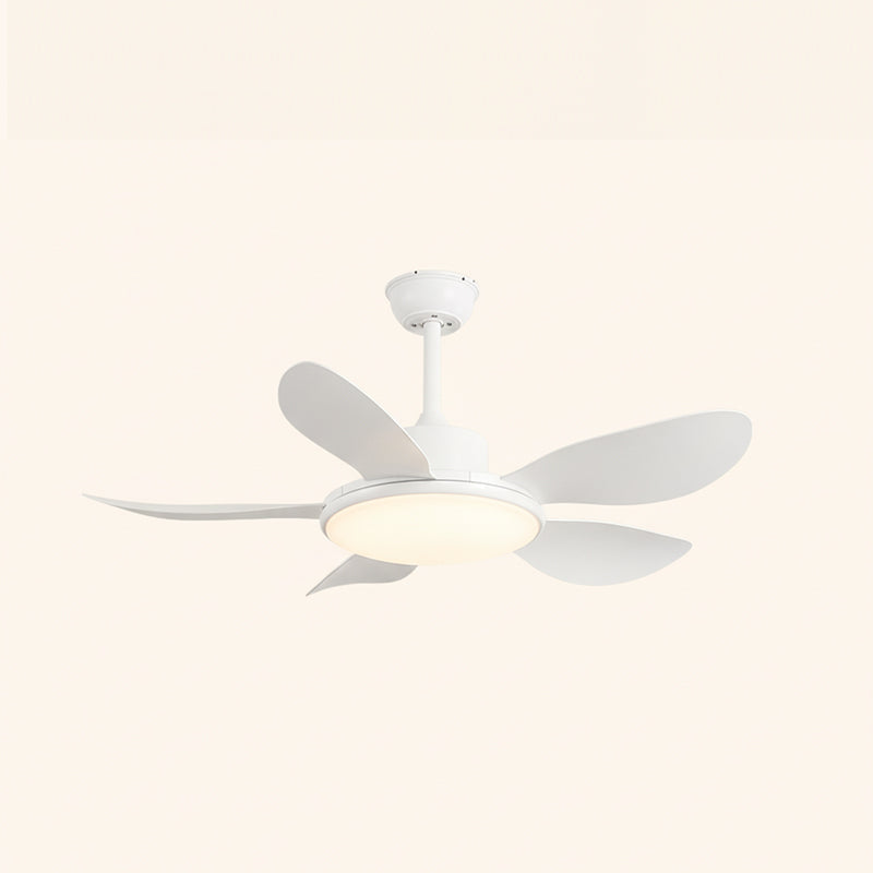 Rivivaine ventilador de techo con luz