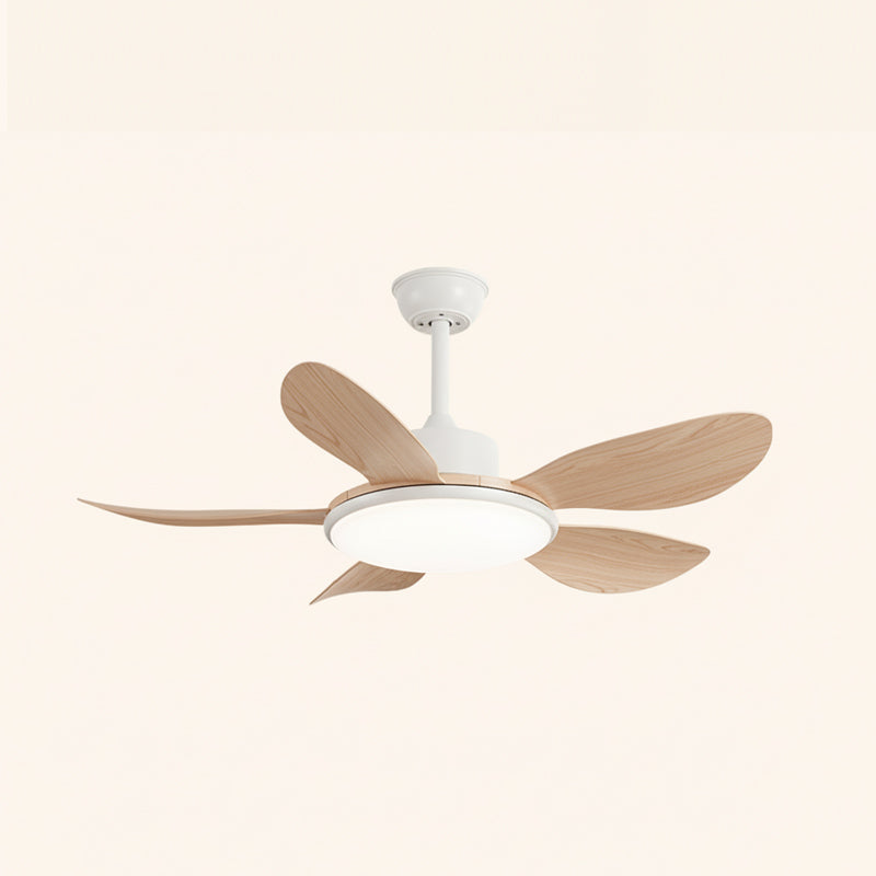 Rivivaine ventilador de techo con luz