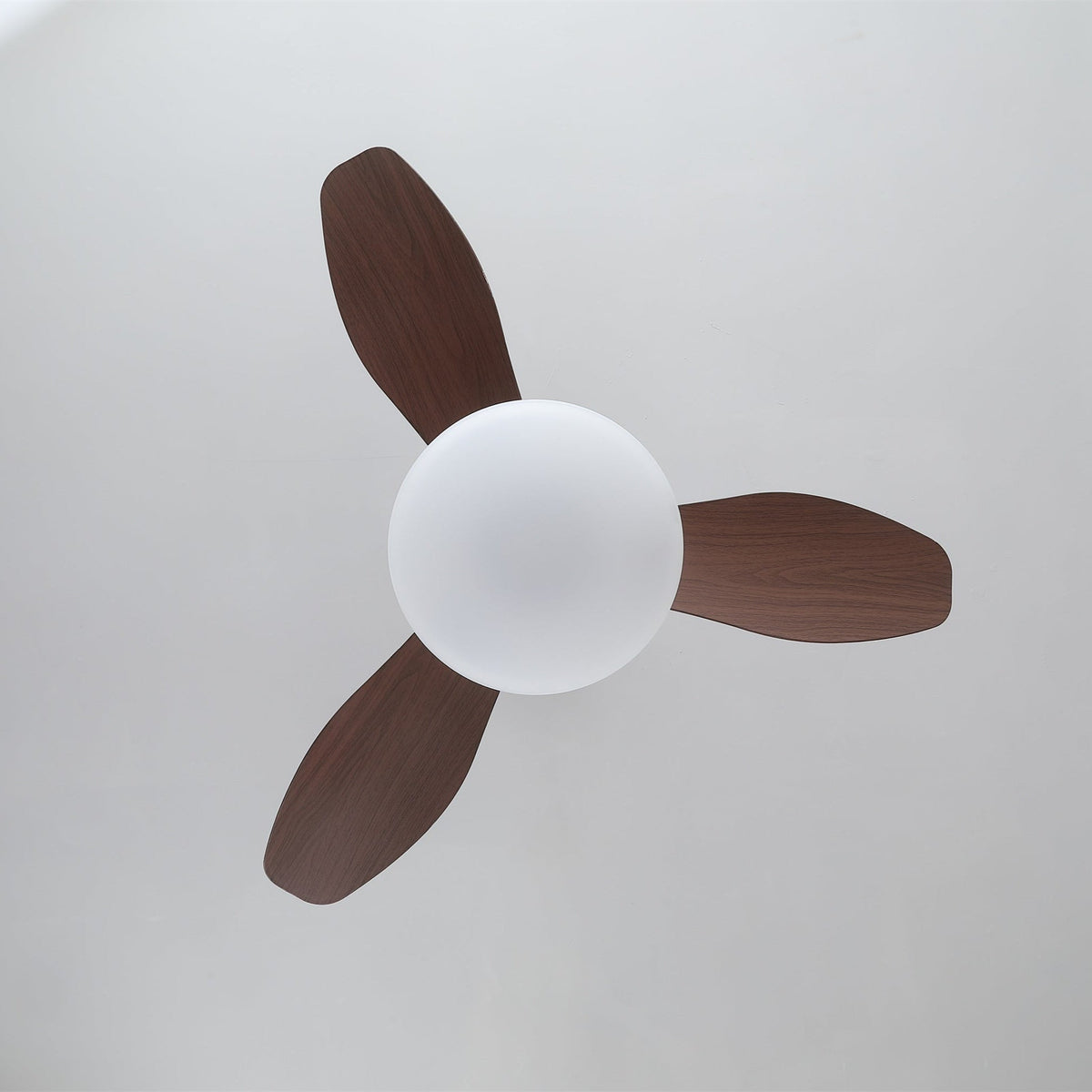 Sylvara ventilador de techo con luz