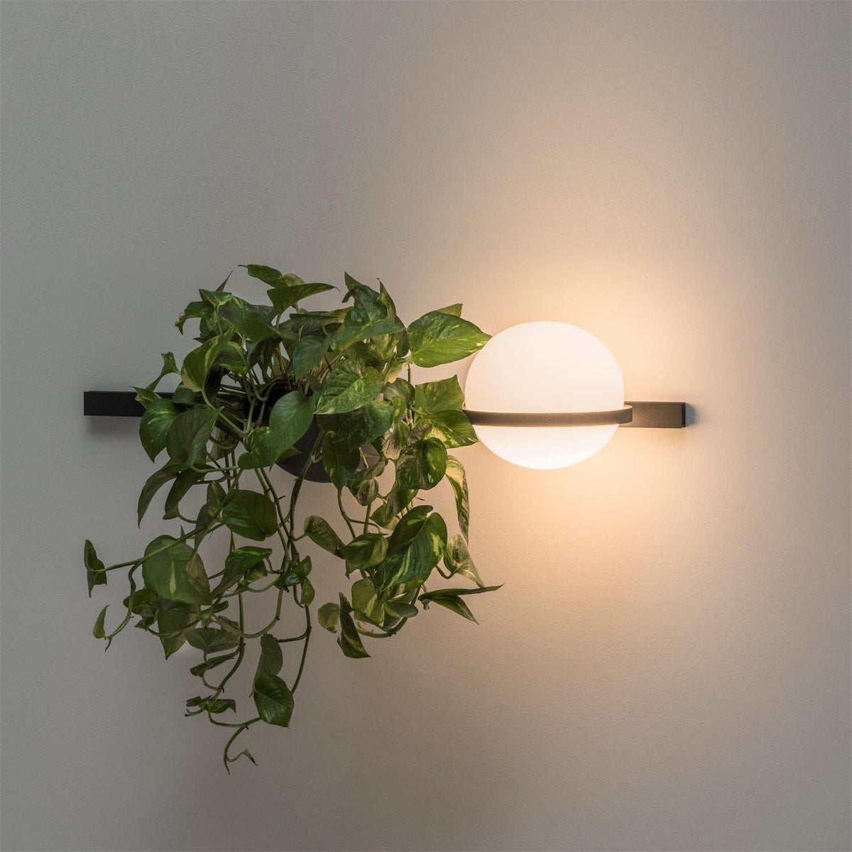 Olthaarae aplique de pared