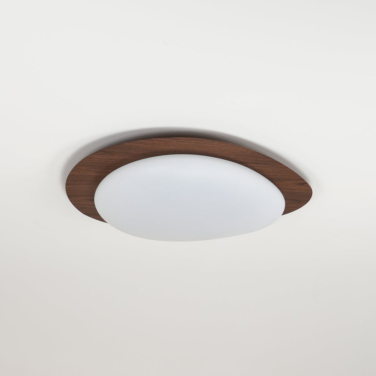 Sylenia lámpara de techo Pebble en nogal con acabado de grano de madera y pantalla de acrílico LED