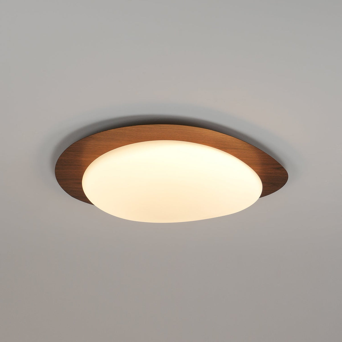 Sylenia lámpara de techo Pebble en nogal con acabado de grano de madera y pantalla de acrílico LED