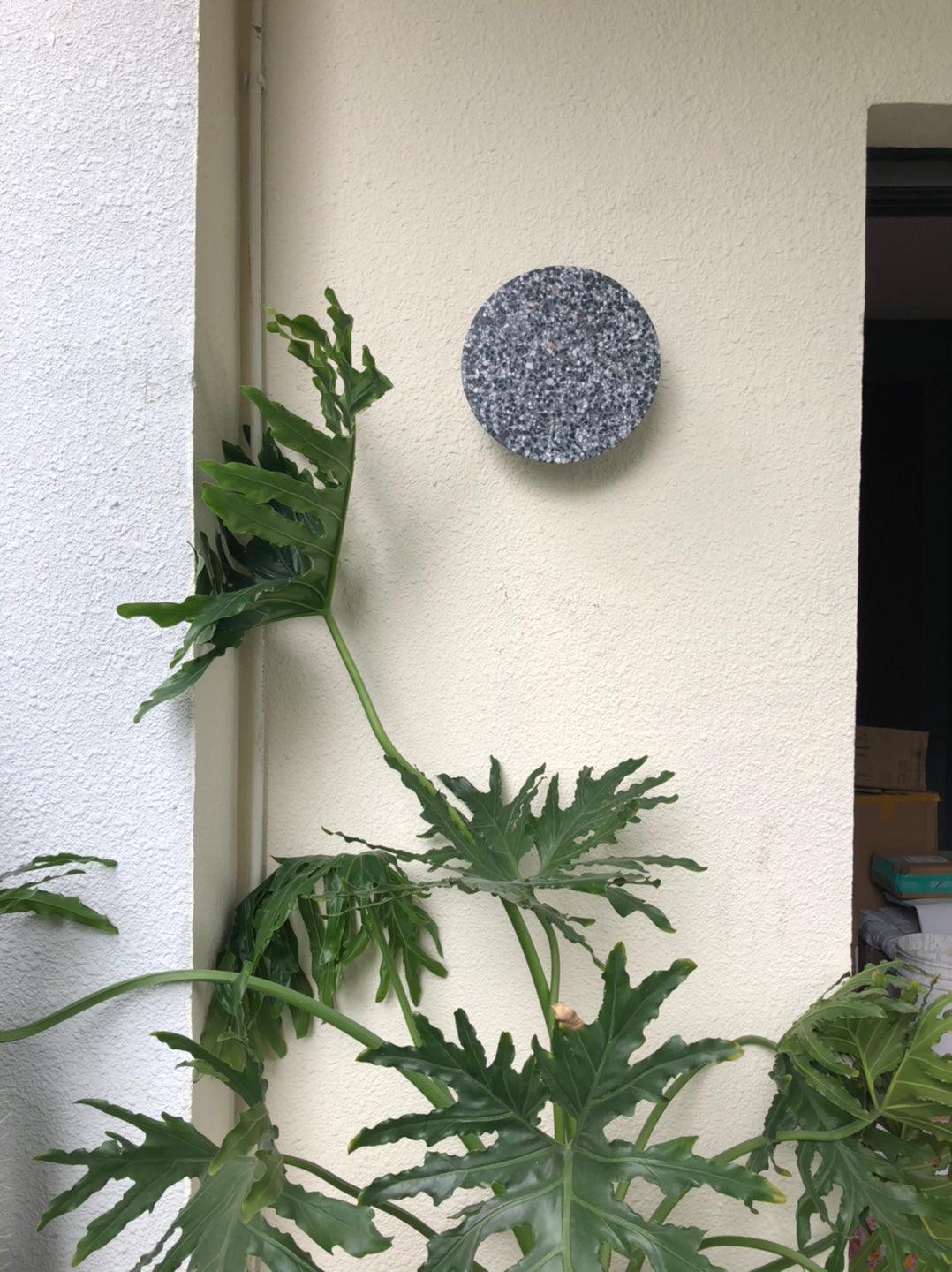Oreleella aplique de pared